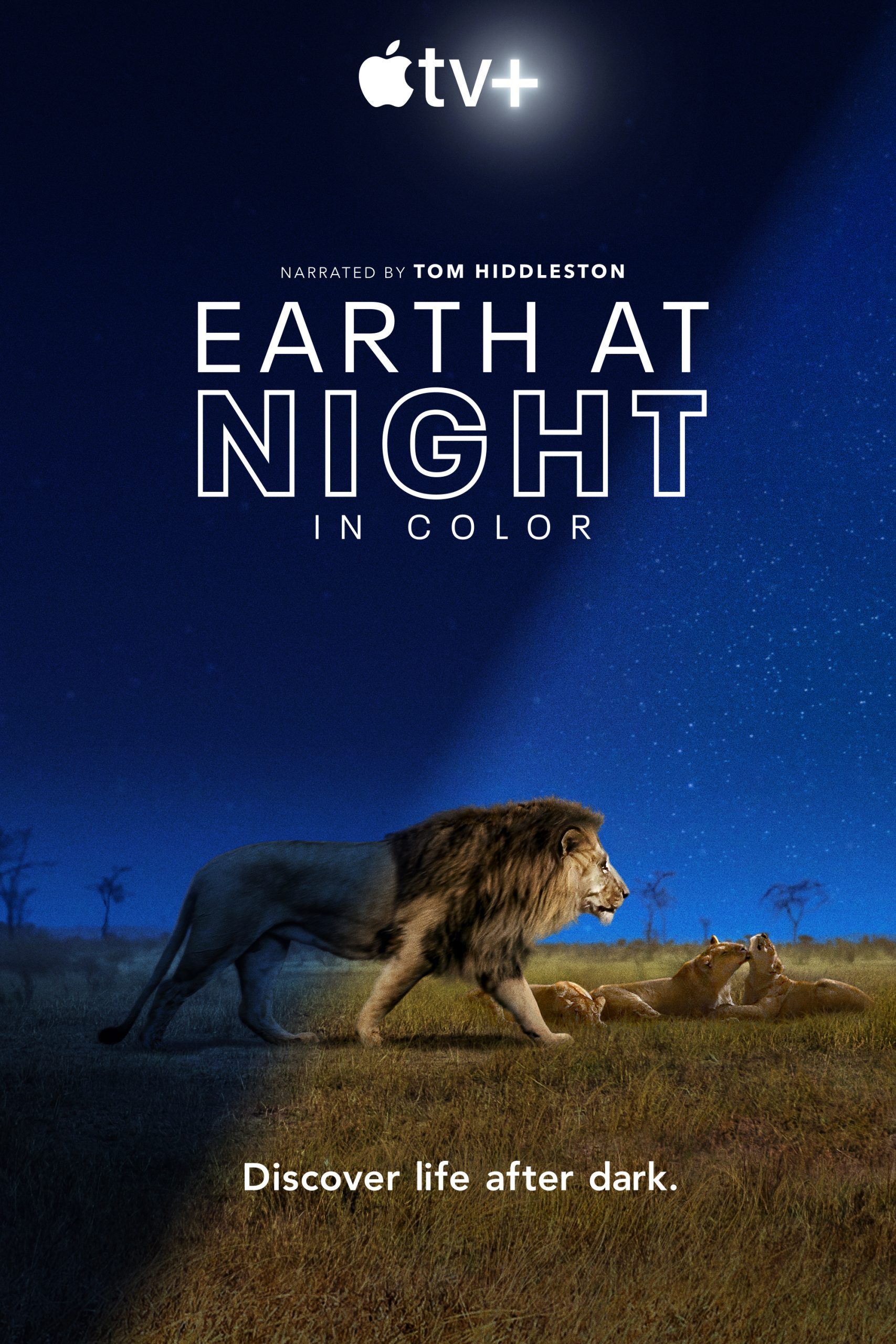 مسلسل Earth at Night in Color الموسم 1 الحلقة 1