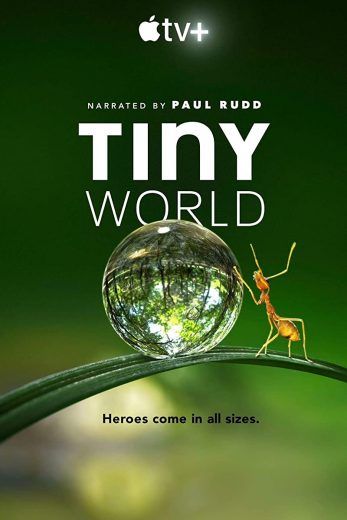 مسلسل Tiny World الموسم 1 الحلقة 2