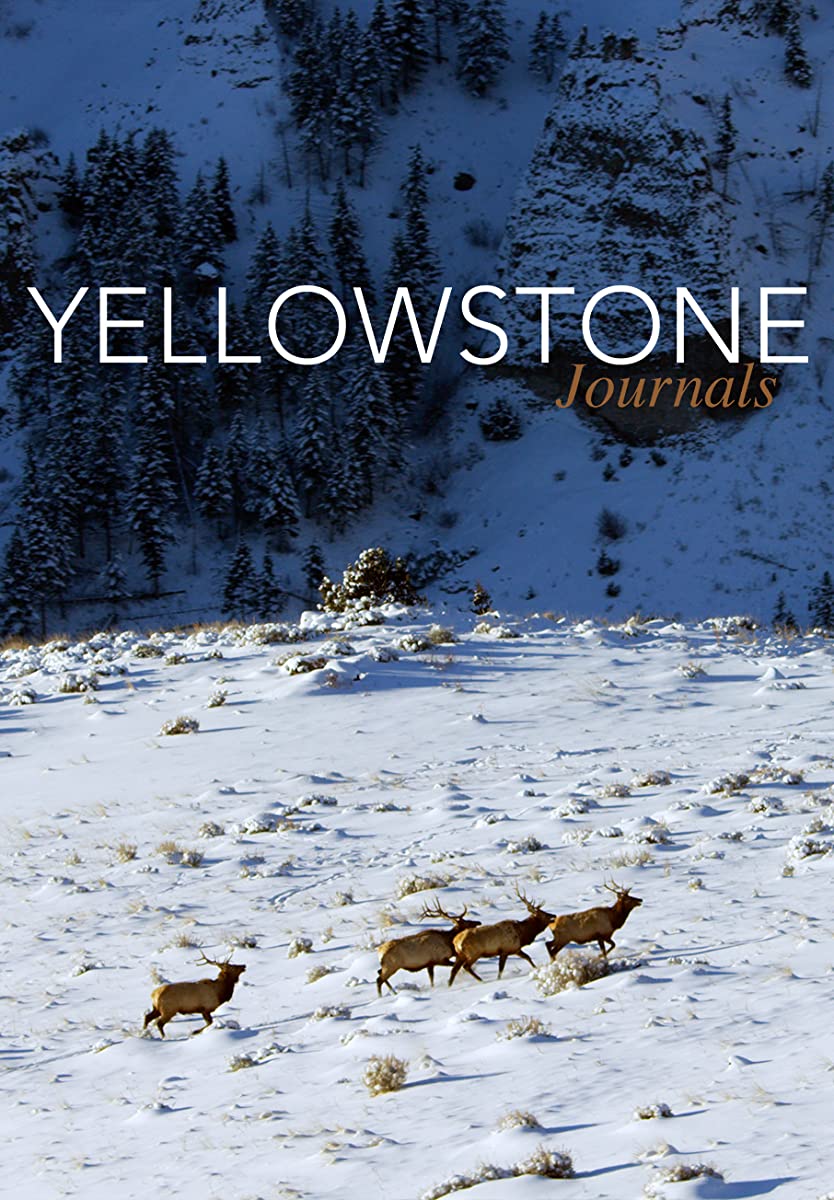 مسلسل Yellowstone الموسم 2 الحلقة 6