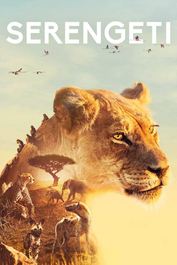 مسلسل Serengeti الموسم 2 الحلقة 1