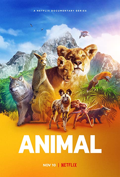 مسلسل Animal الموسم 1 الحلقة 2